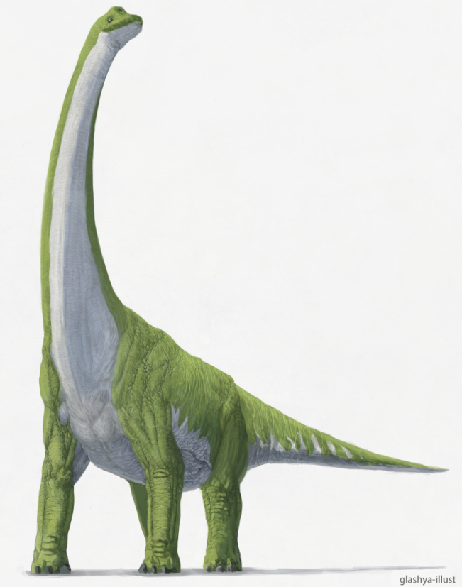 ブラキオサウルス 恐竜 古生物のイラストブログ