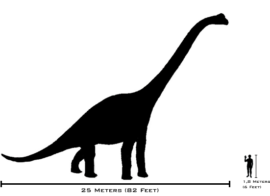 ブラキオサウルス 恐竜 古生物のイラストブログ