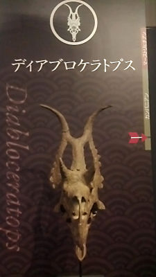 大阪市立自然史博物館「恐竜戦国時代の覇者！トリケラトプス」: 恐竜・古生物のイラストブログ